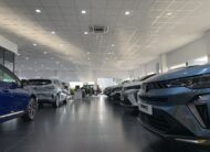 DACIA DOKKER N1 ESSENTIAL BLUE DCI 95CV 5 PLAZAS