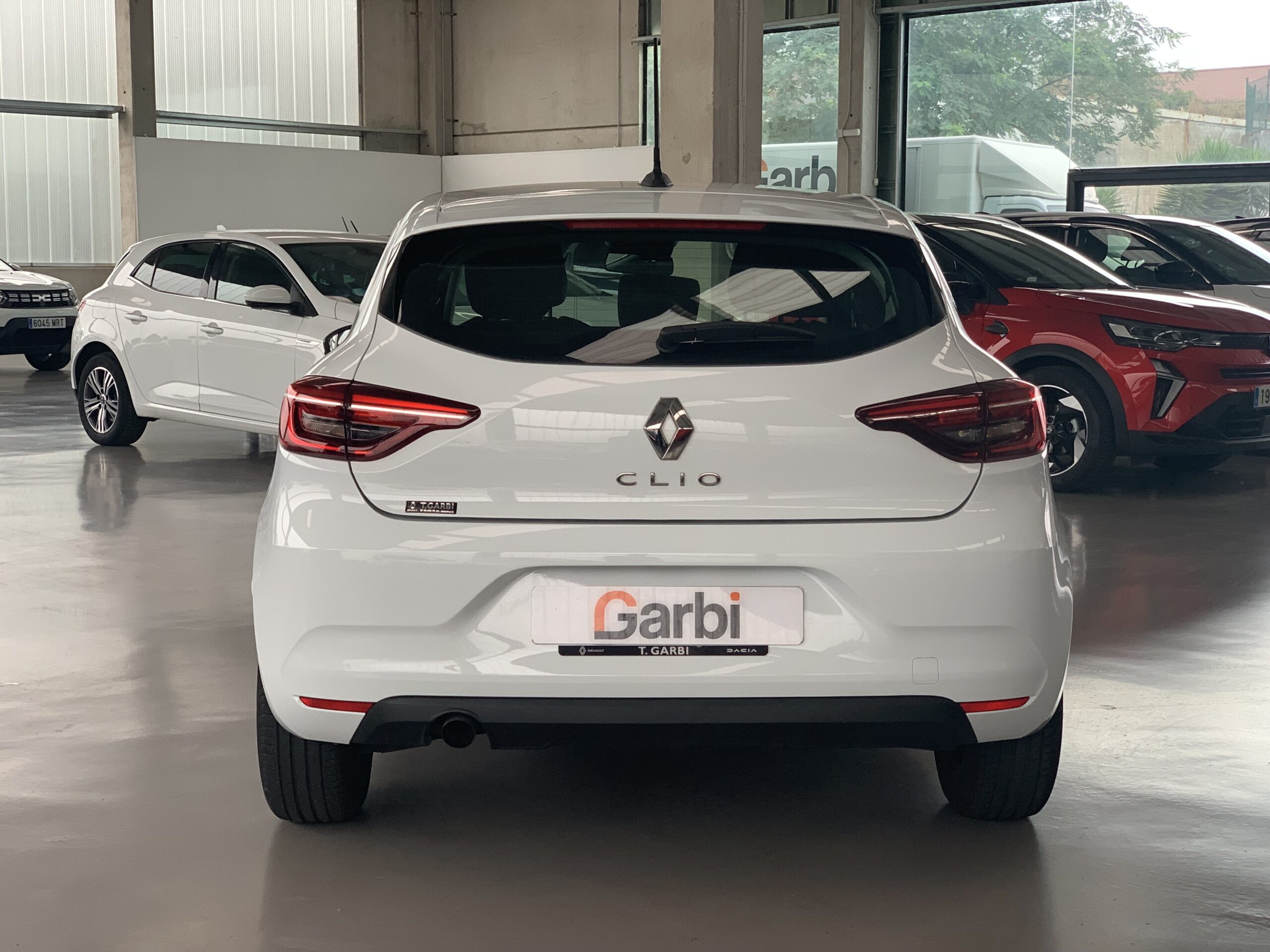 RENAULT CLIO BUSINESS BLUE DCI 100CV